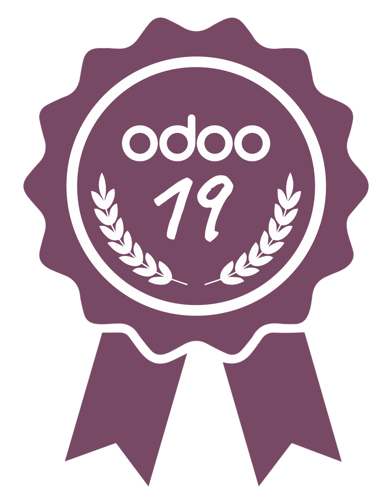 Odoo 19 Functional Certification 